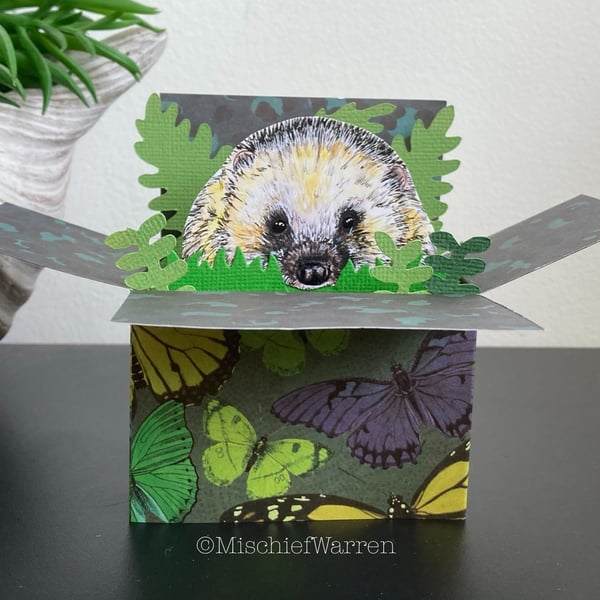 Hedgehog Card. Blank or Personalised 3D card for any occasion. Gift card holder.