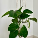Handmade Macramé Plant Hanger - Natural