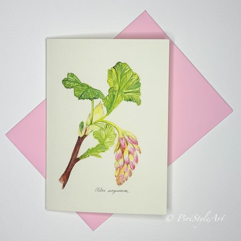 Ribes Sanguineum Botanical Greeting Card – Pinks & Greens Collection