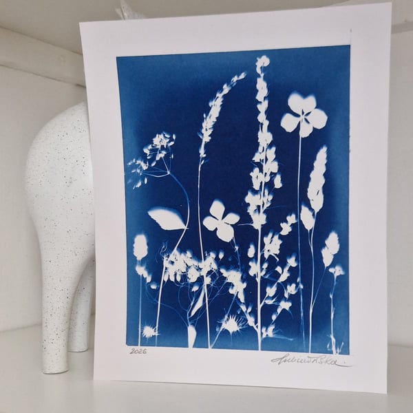 Cyanotype Botanical Print No. 11
