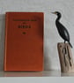 Miniature cormorant - Image 1