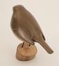 Robin - Image 2