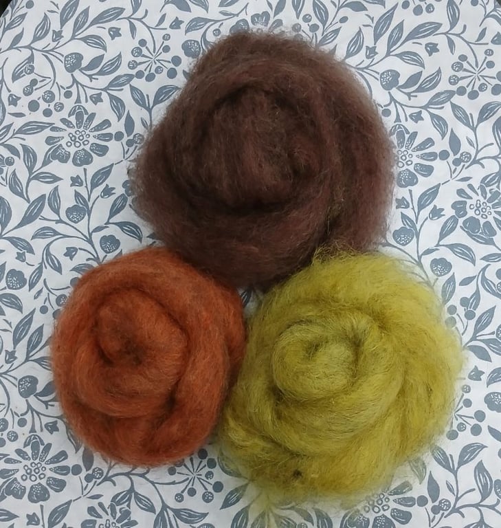 Slivers of hand dyed Gotland fleece, chestnut, brown, soft yellow