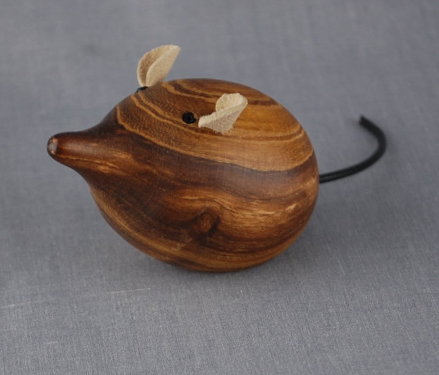 Marvin the Handsomest Mouse 