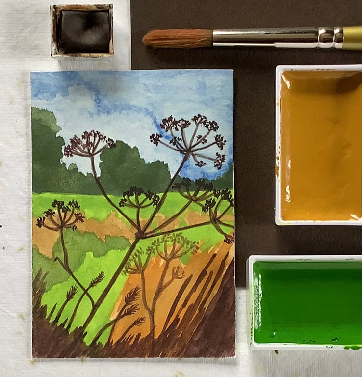 ACEO Hedge View