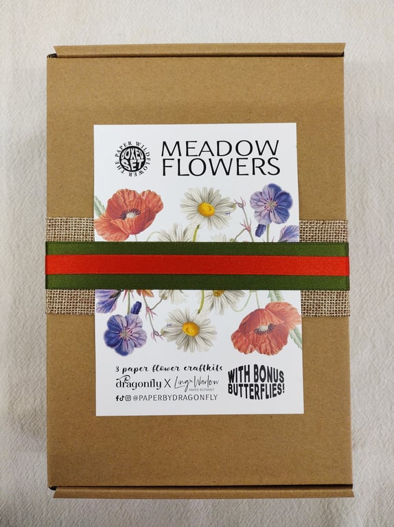 Make Your Own Paper Meadow Flowers: Boxed Gift Set