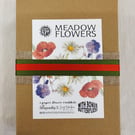 Make Your Own Paper Meadow Flowers: Boxed Gift Set