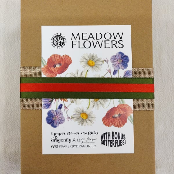 Make Your Own Paper Meadow Flowers: Boxed Gift Set