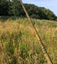 GREEN Oak Walking Staff - Image 3
