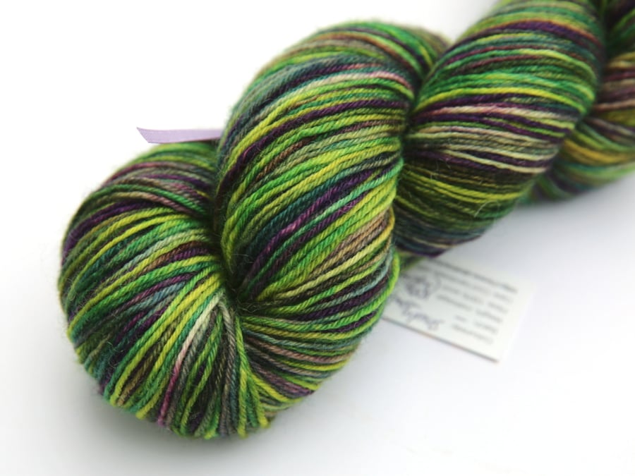 SALE: Shady Forest with shafts of light - Superwash BFL 4-ply yarn