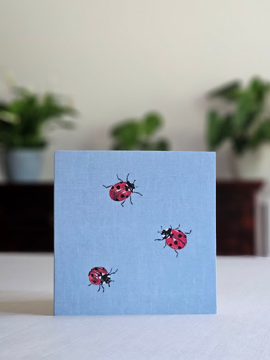 Ladybirds greetings card, blank, nature, British wildlife, ladybird