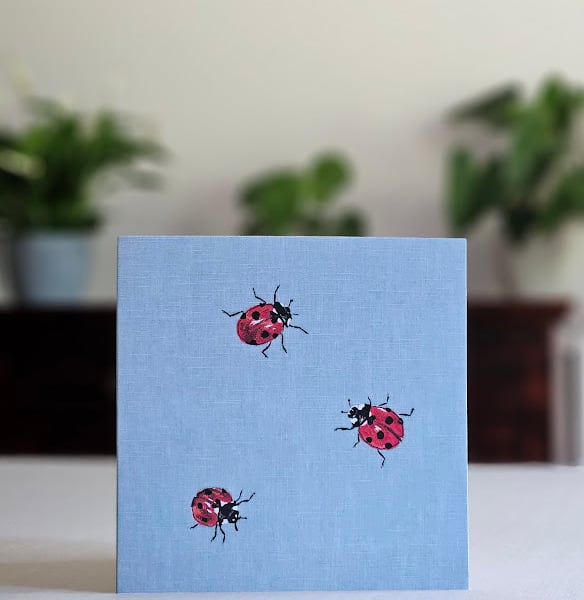 Ladybirds greetings card, blank, nature, British wildlife, ladybird