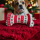 Personalised dog bone toy