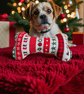 Personalised dog bone toy - Image 1