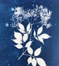 Botanical Art, Original Art, Elderflower. - Image 2