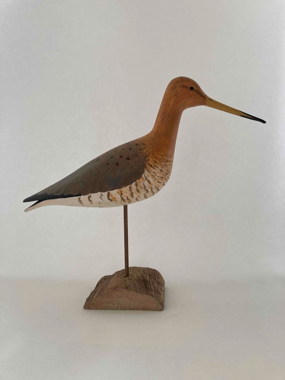 Black tailed godwit 