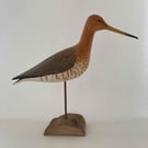 Black tailed godwit 