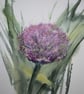 Allium, Original Watercolour - Image 1