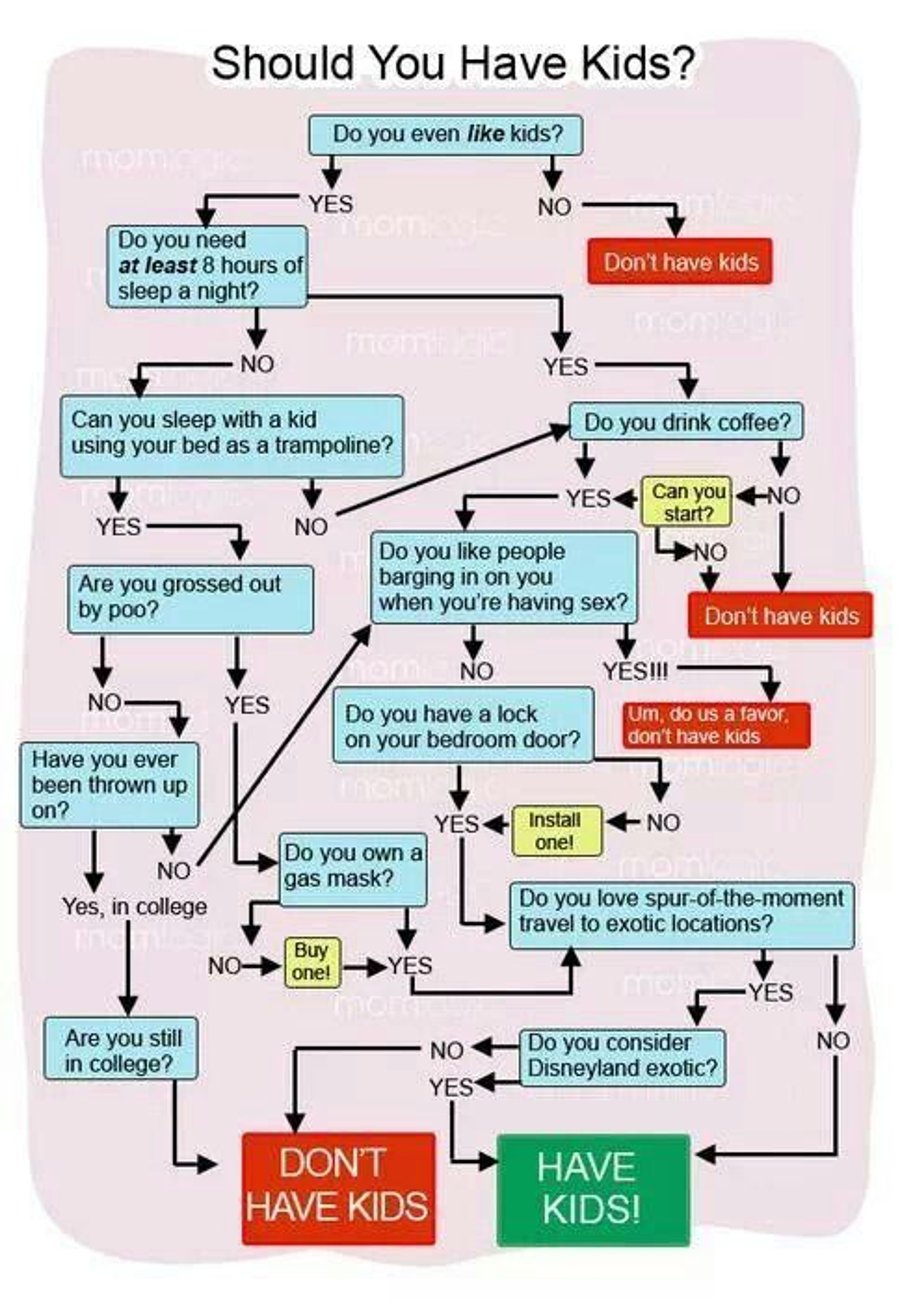 Should You Have Kids Funny Decision Making Flow Chart Greeting Card