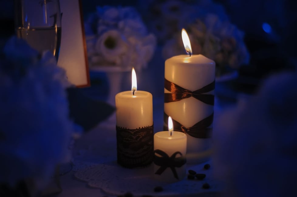 Light & Wild Atelier