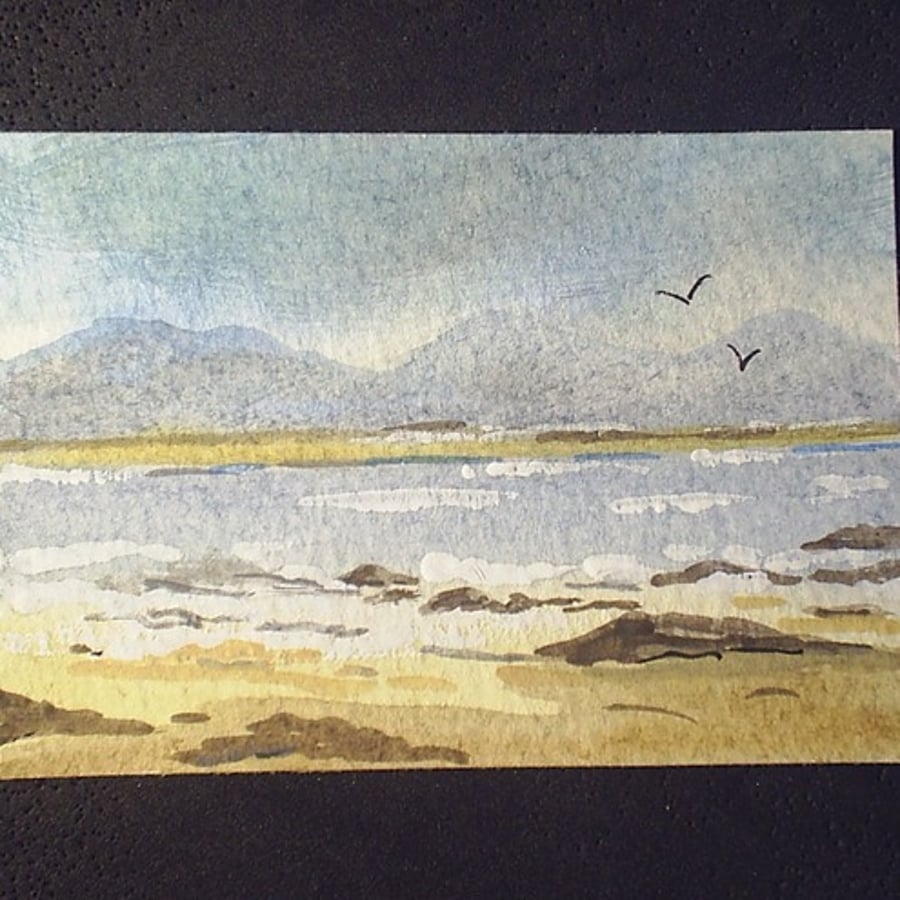 aceo seascape