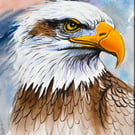 Eagle Watercolour Painting, 100% Hand-Painted & One of a Kind