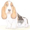 Howard the Basset Hound - Blank Card