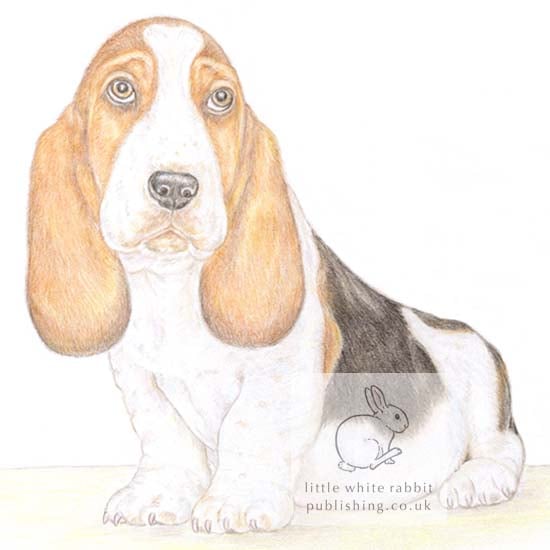 Howard the Basset Hound - Blank Card