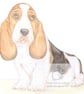 Howard the Basset Hound - Blank Card - Image 1