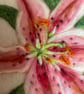 Hand felted Lily Textile Artwork  - Image 4