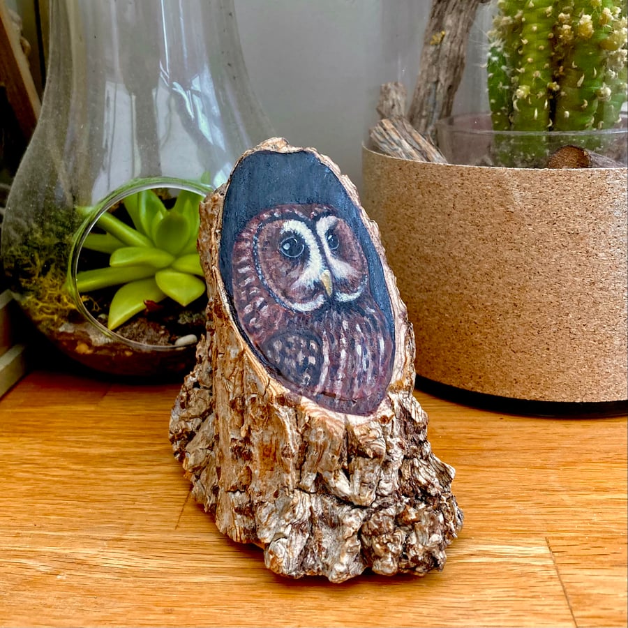 Tawny owl wood stump painting