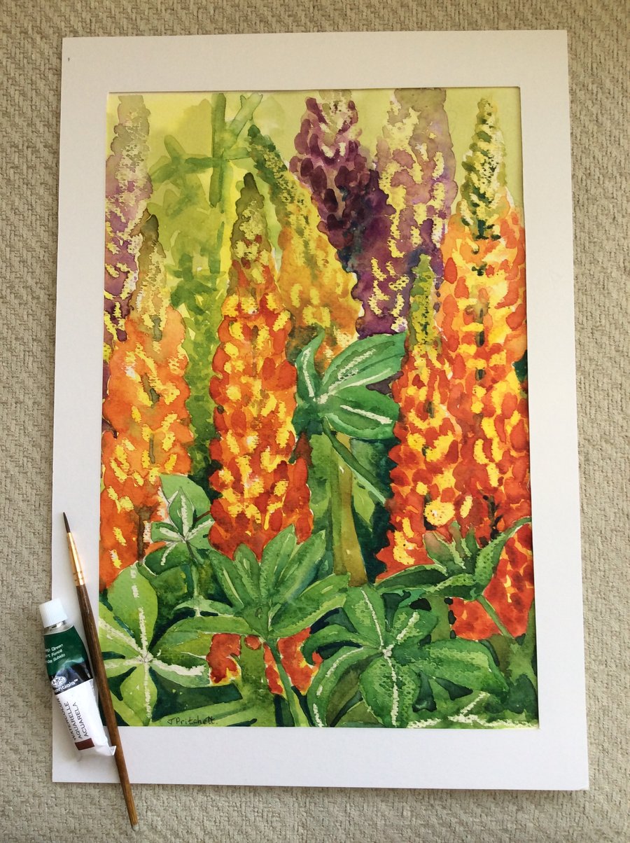 Original watercolour painting of red and orange lupins