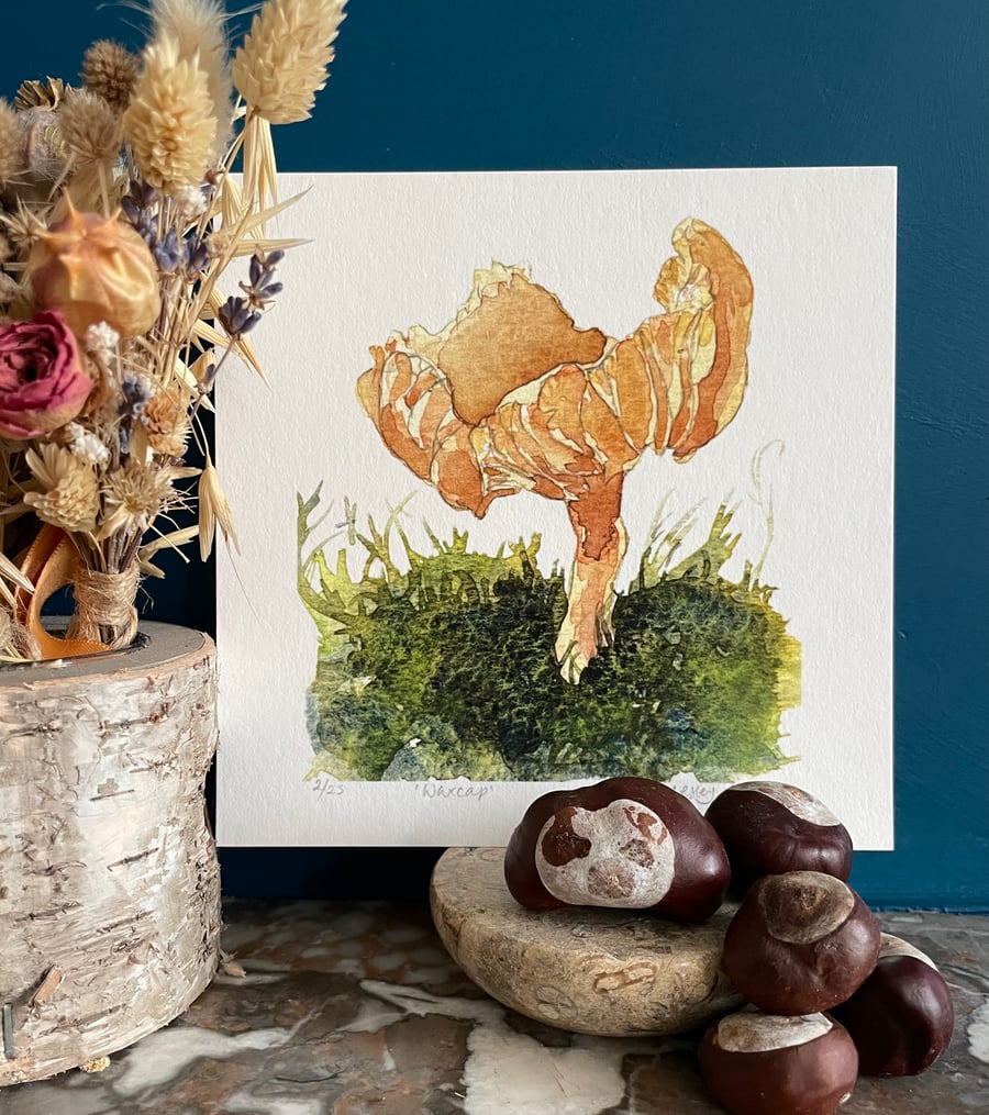 'Waxcap' limited edition giclée print