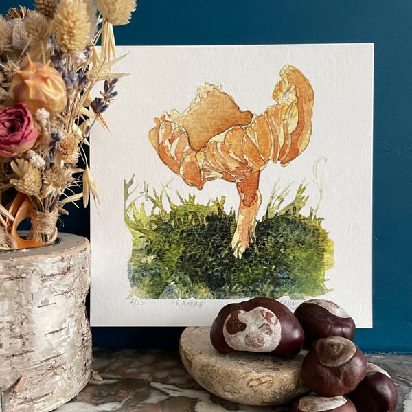 'Waxcap' limited edition giclée print
