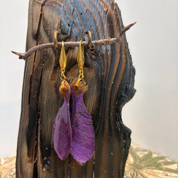 Sycamore seed earrings in purple pink