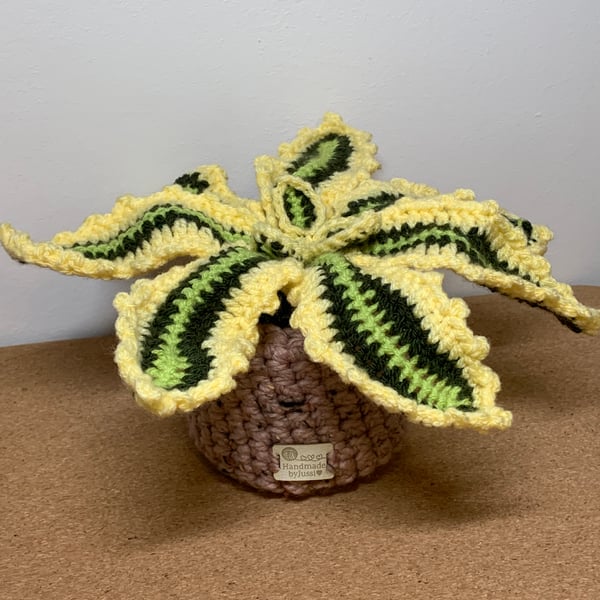 Crochet century plant, 28cm width 15cm high