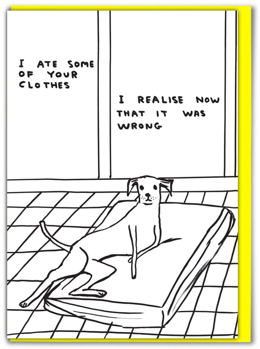 Funny Birthday Card, Cheeky Cards - Dog Ate Your Clothes (SHRIGLEY125)