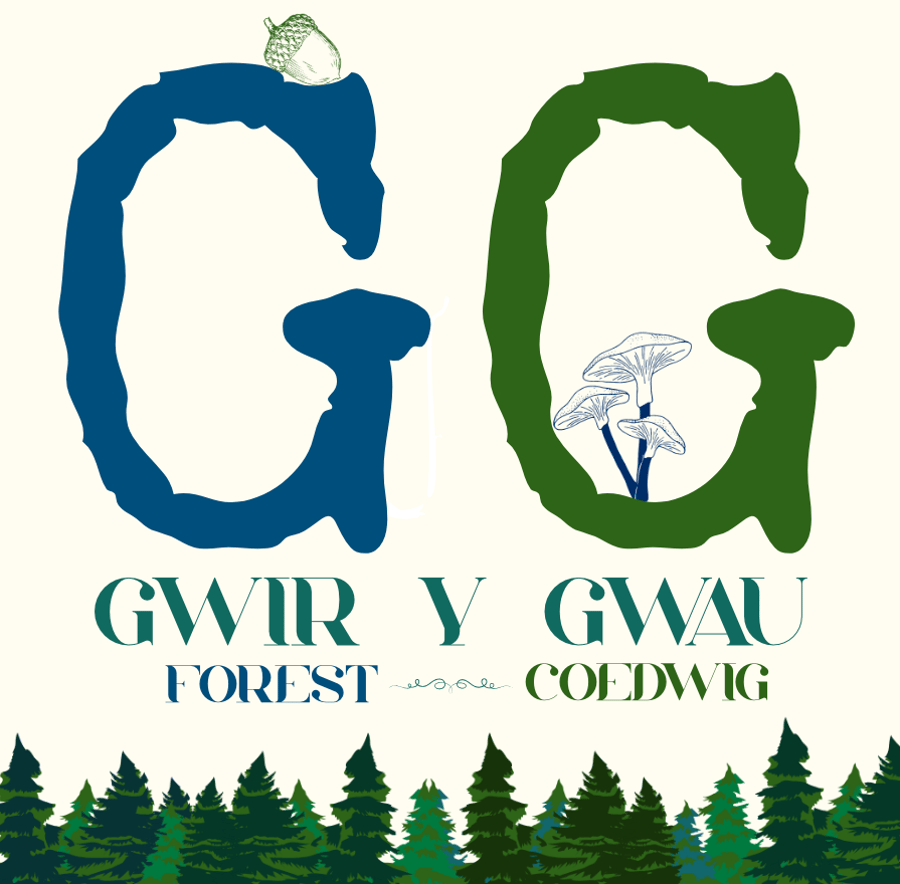 GwirYGwau Forest