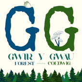 GwirYGwau Forest