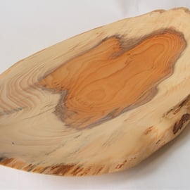 Natural edge oval yew bowl
