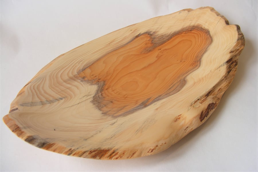 Natural edge oval yew bowl