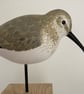 Dunlin - Image 4