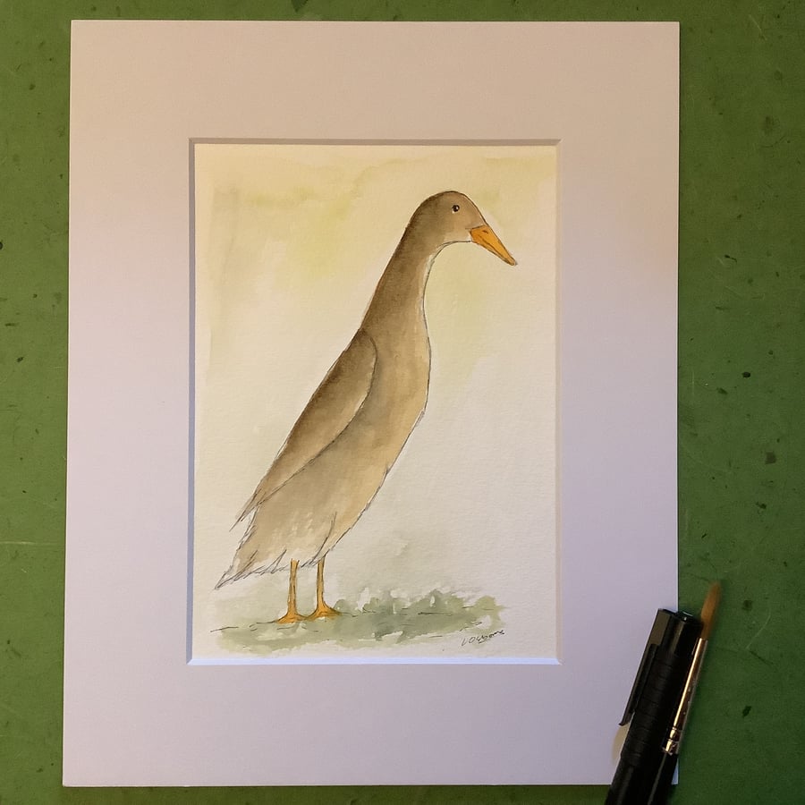 Brown runner duck - original pen, ink and watercolour 