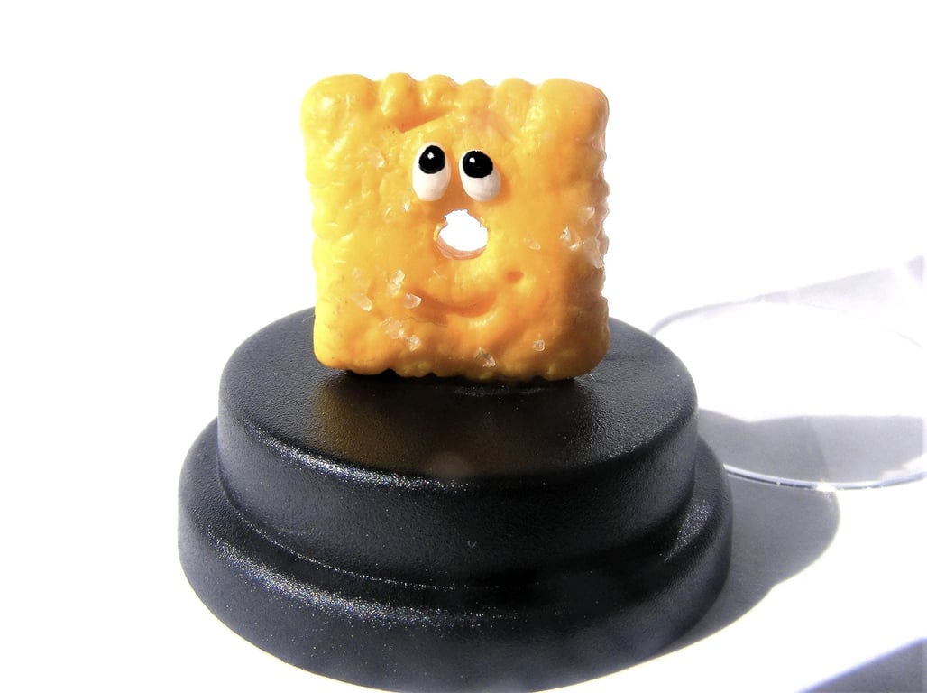 Pet Cheese Cracker, Pet Cracker gift, Cheez lover gift
