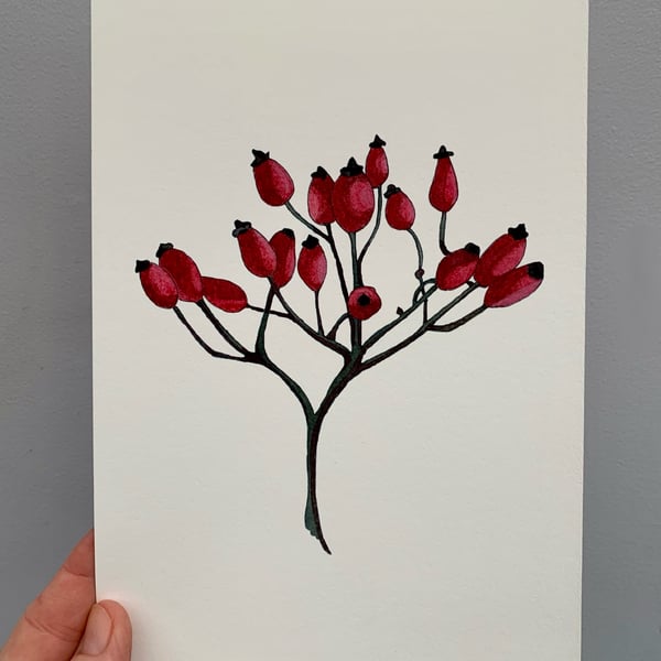 Art print. Rose hips. Art work. Nature. Botanicals. Hedgerow.