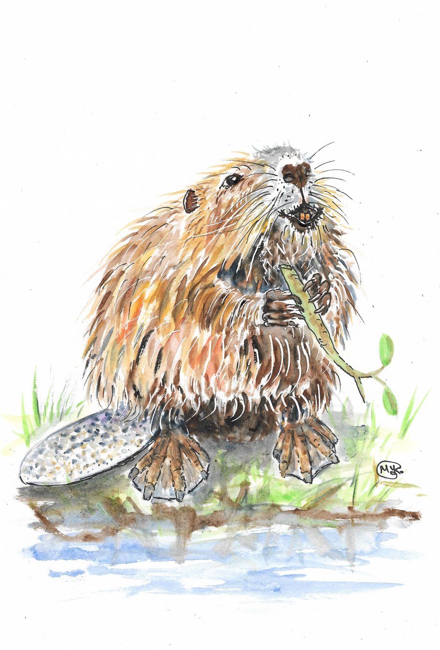 Beaver original watercolour painting. Cute animal