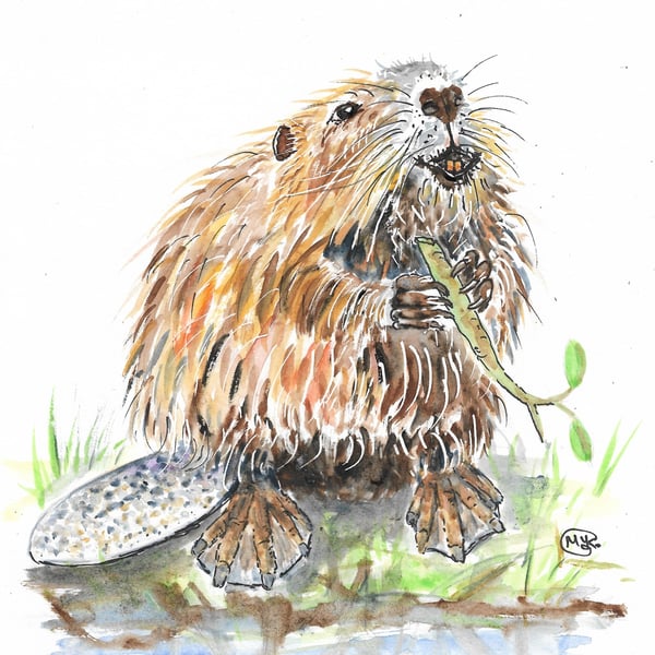 Beaver original watercolour painting. Cute animal