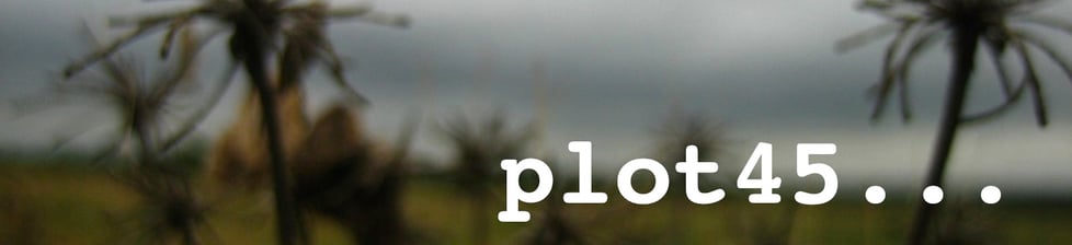 plot45