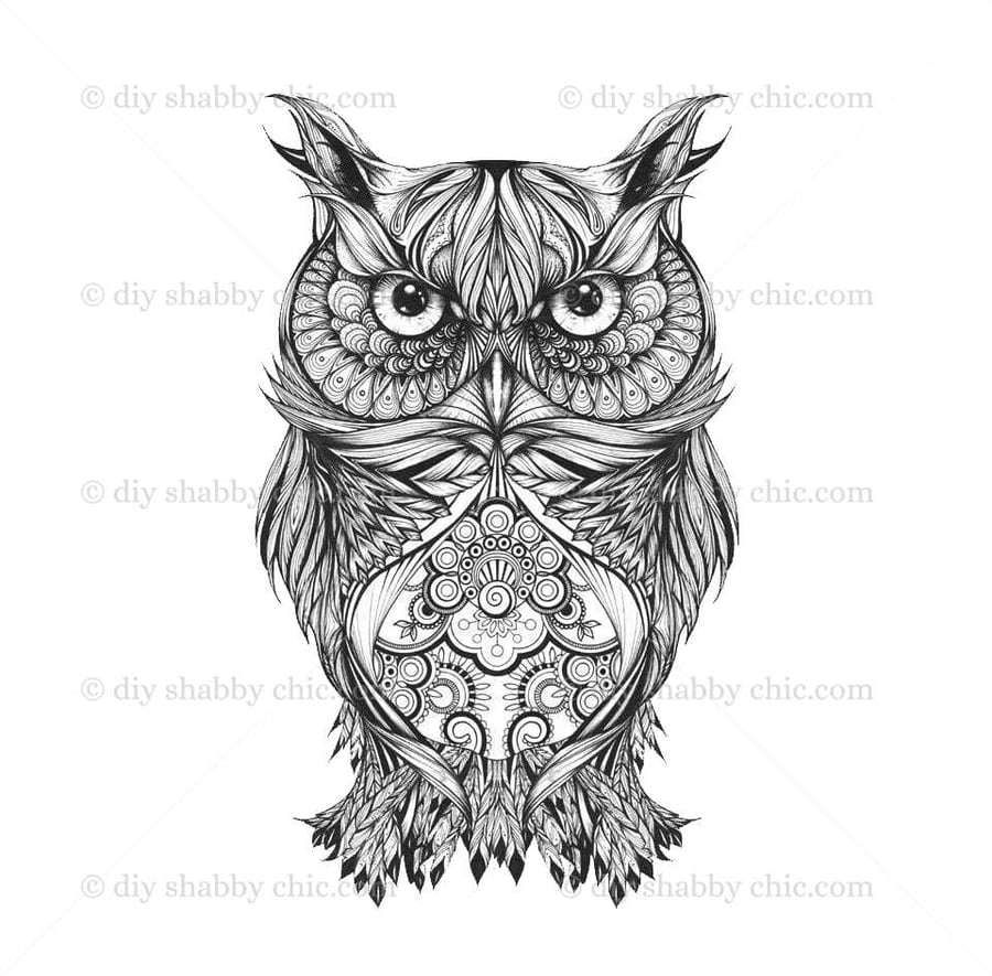 Waterslide Wood Furniture Decal Vintage Image Transfer Shabby Chic Owl Drawing