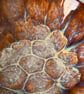 Handmade ceramic bowl, shallow brown stoneware bowl - Image 3
